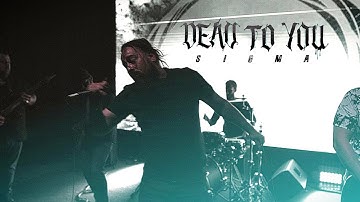 Dead To You - Sigma (Official Music Video)
