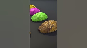 Small fat worms 3D model with animation | get it on unity asset store #3d #unity3d #maya