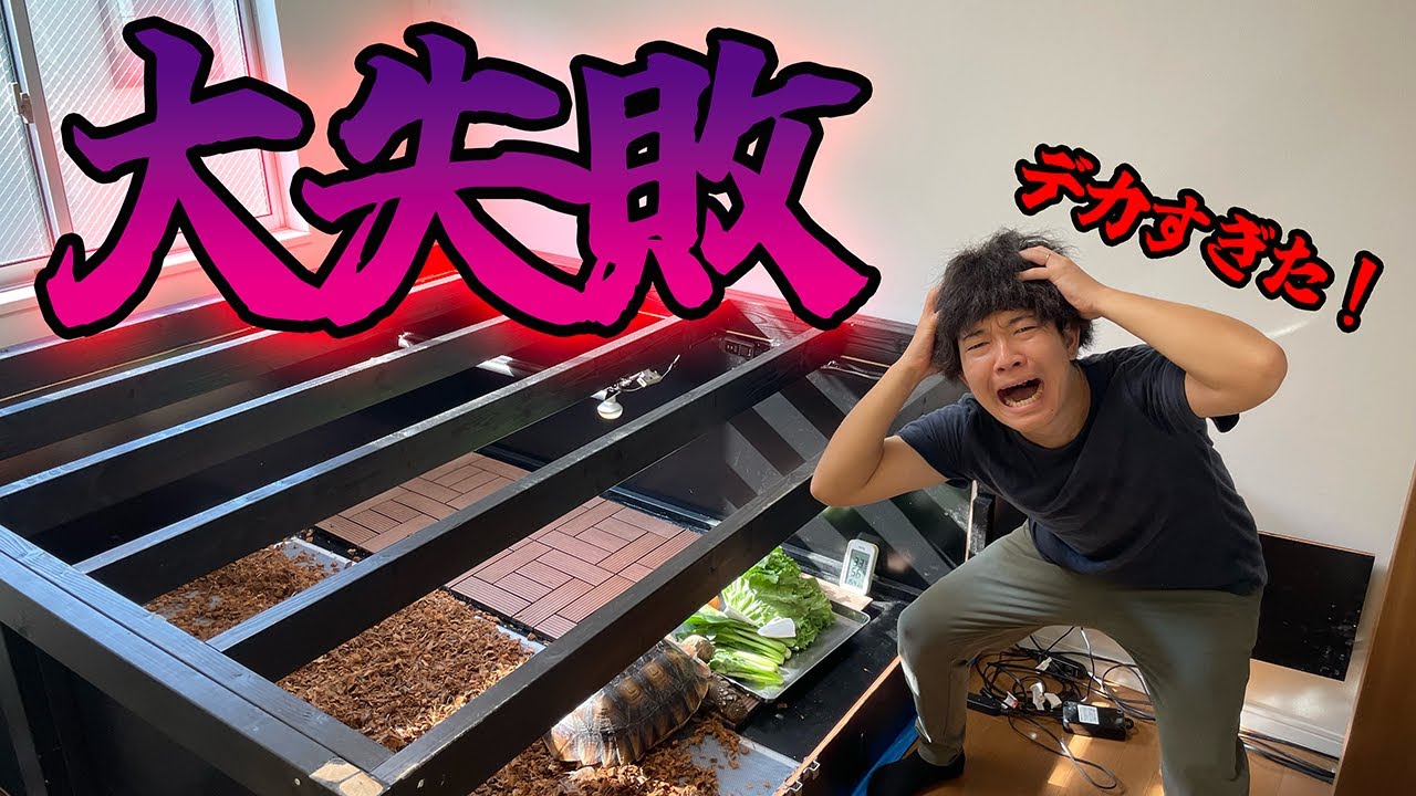 I made a mistake in the design of my tortoise cage and now it has