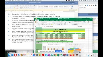 Excel Module 3