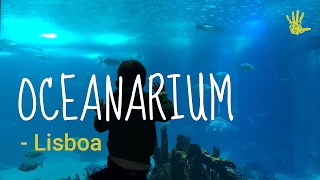 Oceanarium in Lisbon, what to expect?