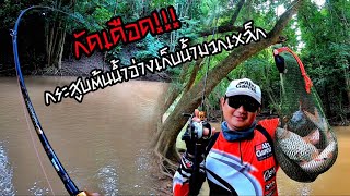 กัดเดือด!!! กระสูบต้นน้ำอ่างเก็บน้ำมวกเหล็ก Abu Garcia Silver Max3 + Abu Garcia Diablo 3-10lb