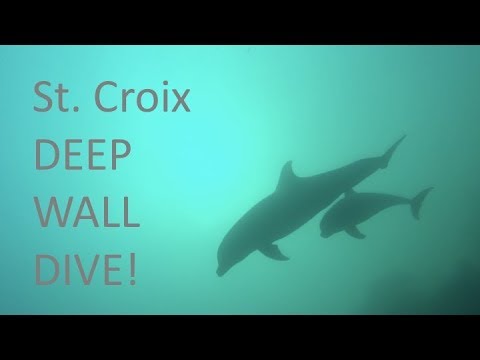 St Croix Scuba Diving Wall Dives With Sharks And Dolphins You - The Wall St Croix Whales St Croix Scuba Diving Wall Dives With Sharks And Dolphins You - The Wall St Croix Whales