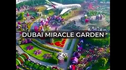 ارح قلبك وسمعك ونظرك سورة الضحى