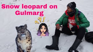 #snowleopard ON #gulmarg, #play WITH #ice ❄️❄️❄️❄️.     #kashmir