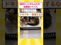 ゴミ捨て場に子猫がおったんやけど・・・ #2ちゃんまとめ #2ch #2ちゃんねる #猫