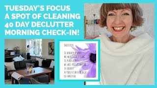 Tuesday's Focus, a spot of cleaning (Flylady zone 5), 35 of 40 Day Declutter, morning check-in!