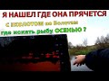 Кинул Эхолот так вот где рыба в Октябре.Ищу огромных карасей