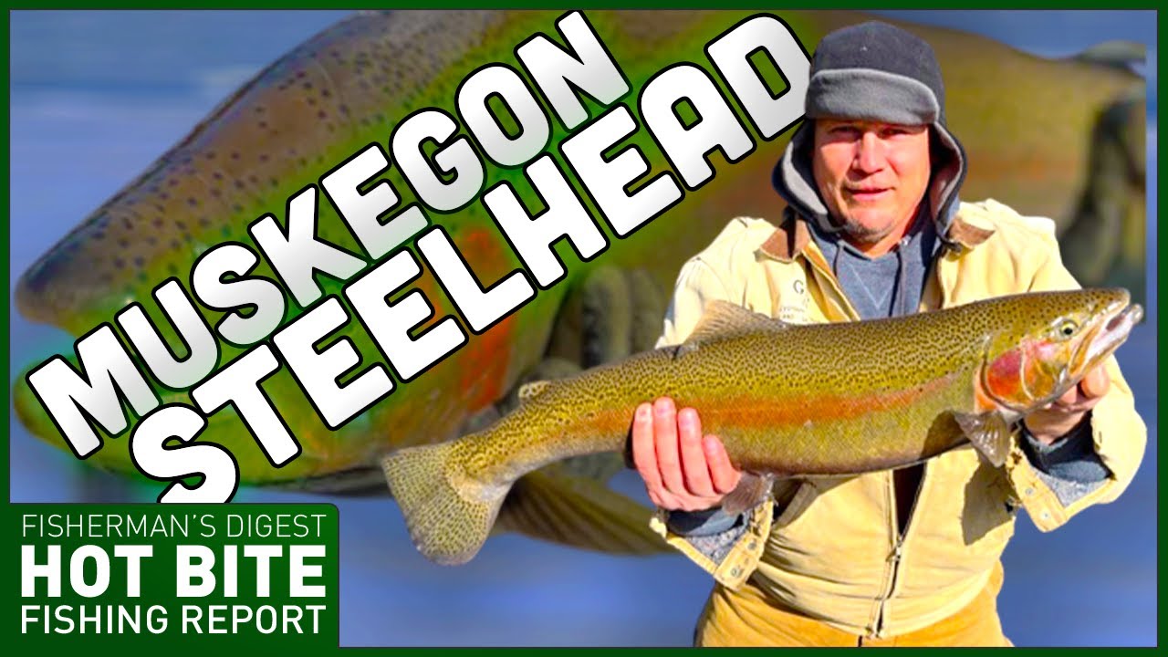 Muskegon Steelhead Fishing Report & Episode Teaser! 