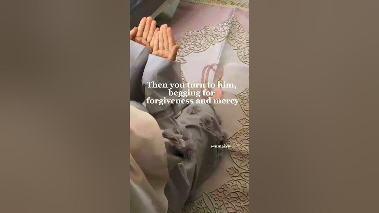and-seek-allahs-forgiveness-certainly-allah-is-forgiving-merciful