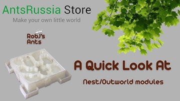 AntsRussia Store | Nest & Outworld 3D Printed Modules Review