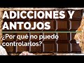 ADICCIONES Y ANTOJOS -  Macrobiótica