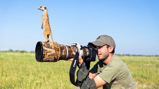 Top 10 Best Camera for Wildlife Photography