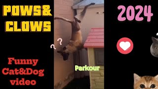 Funniest Cats And Dogs Videos #24 😁 - Paws&claws comedy 2024 (#trynottolaugh) 🥰