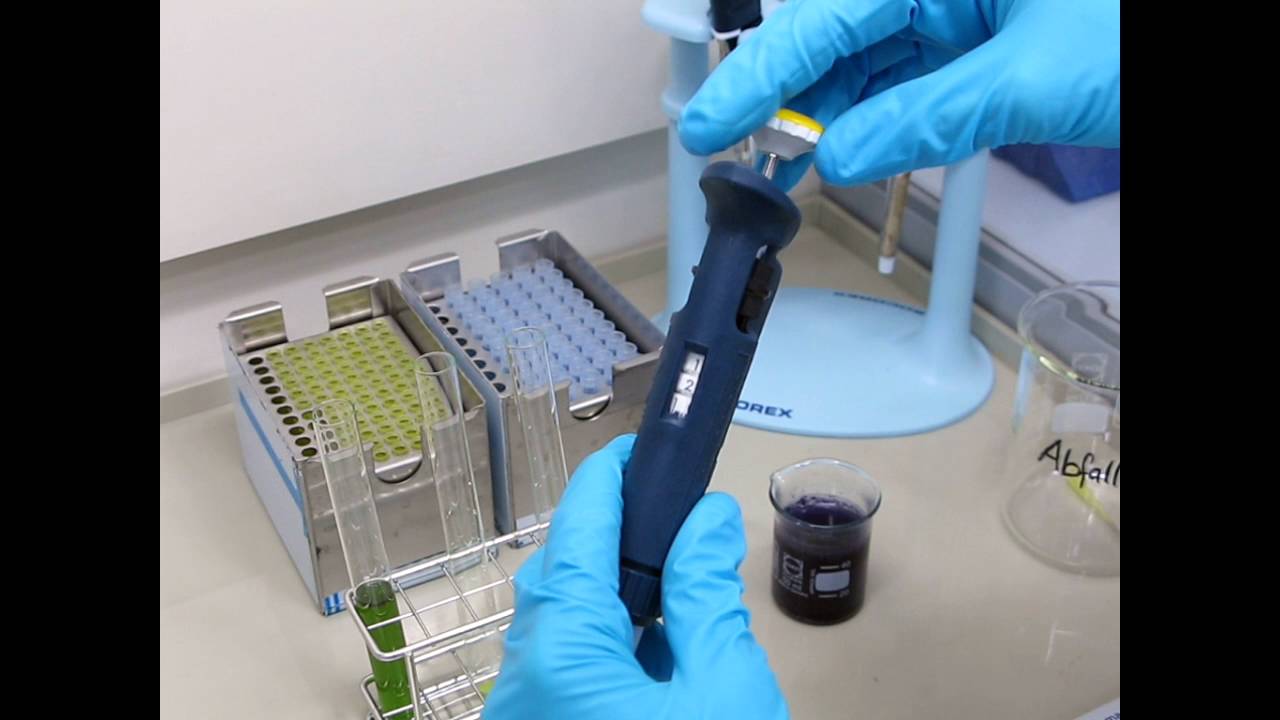 Richtig Pipettieren YouTube