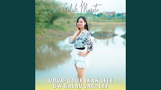 Ubur-Ubur Ikan Lele Gw Galau Lagi Lee Ubur-Ubur Ikan Lele Gw Galau Lagi Lee