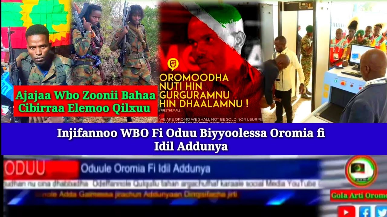 Injifannoo Wbooduu Biyyoolessa Oromia Fi Idiladdunyaa Caamsaa 182022