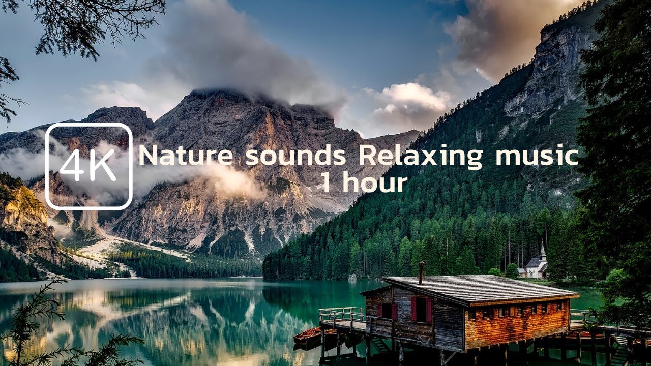 Nature sounds relaxing music 1 hour - YouTube