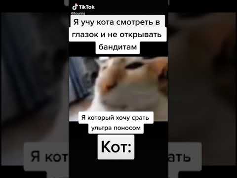 Когда научил кота смотреть в глазок и не открывать дверь бандитам