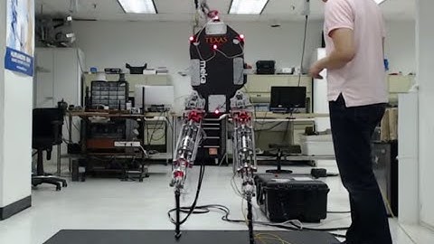 Hume Point-Foot Biped Dynamically Balances on Smallest Feet