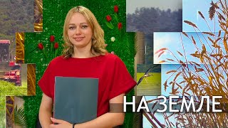 видео: На земле - Владелица бьюти студии «Мечты сбываются» Елена Сенько картинка: На земле - Владелица бьюти студии «Мечты сбываются» Елена Сенько