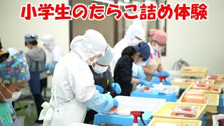 小学生のたらこ詰め体験 虎杖浜 たらこ 明太子 通販【竹丸渋谷水産】工場見学2019年