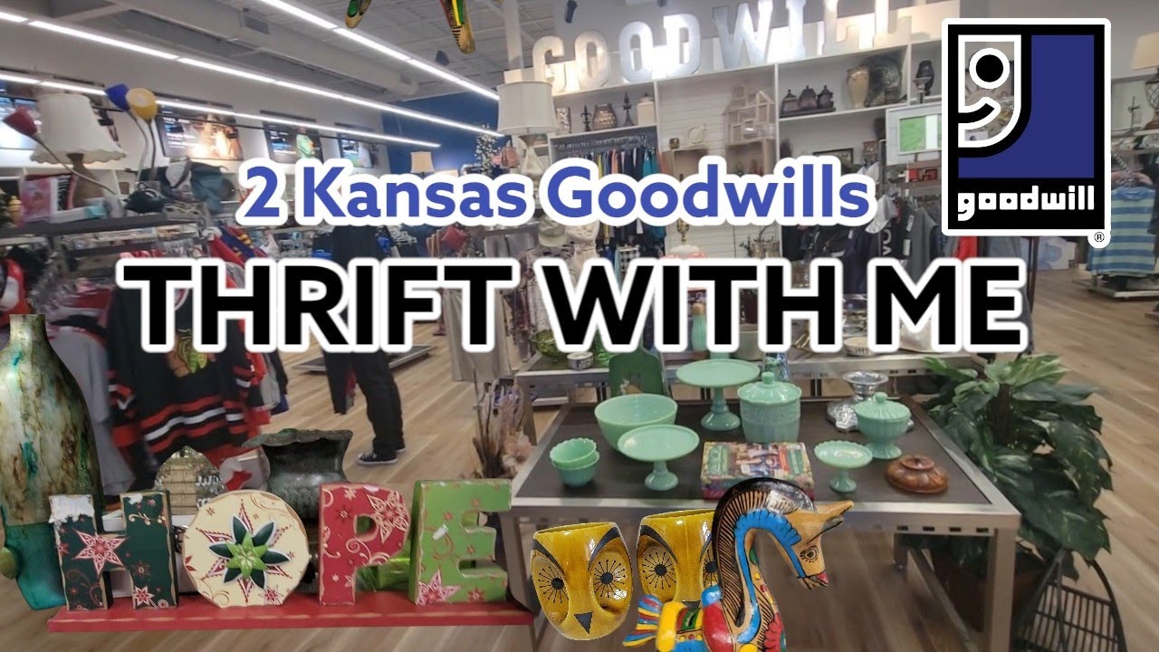 I Feel Like We Bought The Zoo! + Viewer Intel!Goodwill Thrift With Me! After Christmas Shopping!