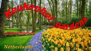 Keukenhof gardens. Netherlands.