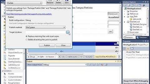 Asp.Net projeleri siteye yükleme