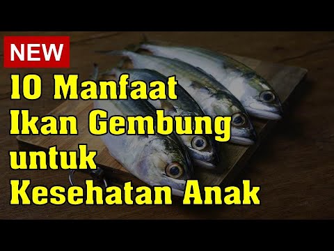Ikan Kembung Untuk Anak Bayi