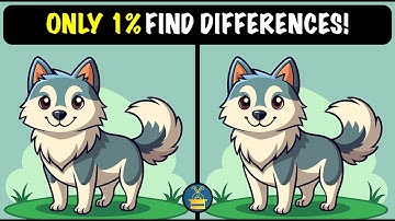 Spot the Difference Puzzles ! (HARD) | Quiz Game | Test Your Sharp Eyes!