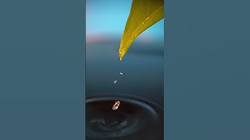 How to shoot a droplet in macro mode.  #apexel #macro #photography  #tutorial #photographytips