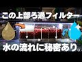 【完全解説】ろ過効率を最大化する上部フィルターの構造とは？驚きの全通水の秘密大公開！アクアリウム用上部濾過フィルターのご紹介。