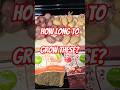 How Many Days For Potatoes From Bag To Harvest Potato Gardening Vegetablegarden How Many Days For Potatoes From Bag To Harvest Potato Gardening Vegetablegarden