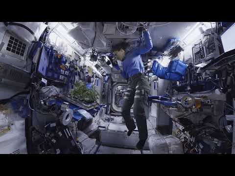 Space Explorers: The ISS Experience - Episode Two: ADVANCE Official Trailer