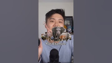 Comment 