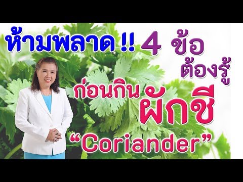 ห้ามพลาด !! 4 ข้อต้องรู้ ก่อนกินผักชี | Coriander | พี่ปลา Healthy Fish