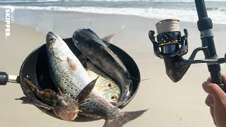 Eating EVERY FISH on the Beach! (7 Species!) Beach Fishing Catch & Cook