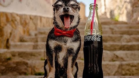10 công dụng khó tin của Coca-Cola, số 2 nghe thì hay nhưng không nên thử