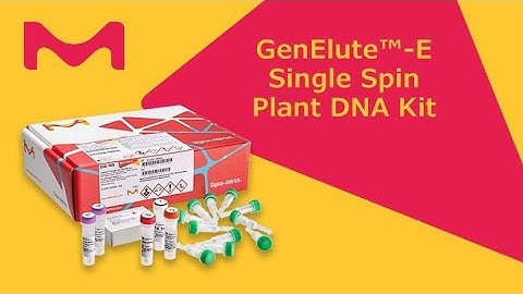 GenElute™-E Single Spin Plant DNA Purification Kit