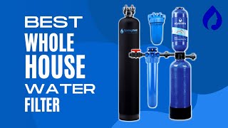 2 Best Whole House Water Filter For 2024 [That Actually Work!]