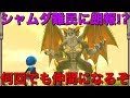 【テリワンSP 実況】シャムダ難民に朗報!?ここで何度でも仲間になるぞ【スマホ版 DQMテリーのワンダーランドSP】