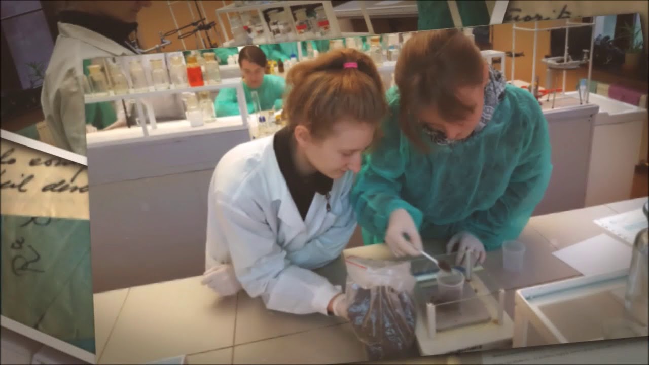Udział uczniów z XIII LO w projekcie Ekolekcje - YouTube