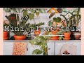 MINI PLANT TOUR + MEET OUR NEW KITTEN | VIHERKASVEJA 🌿