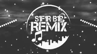 S1F1Rbi̇r Remi̇x Şark Si