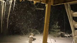 🔴 Ontario Snow Storm LIVE