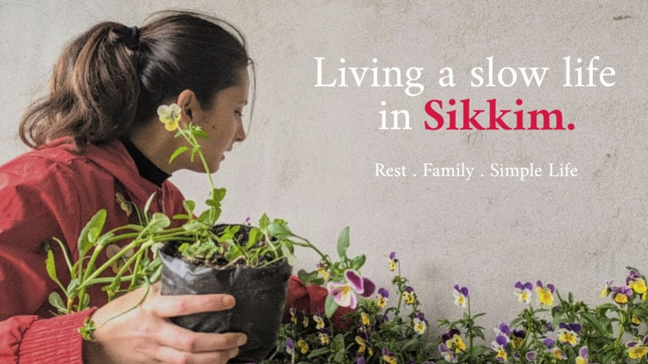 Living a Slow Day in Sikkim | Rest, Family Time & Simple Hill Life