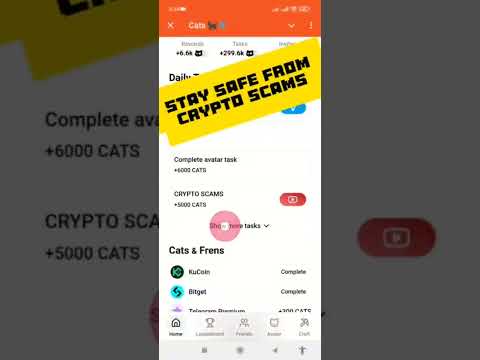 Stay Safe from Crypto Scams Cats Video Code 22 december #shorts #cats