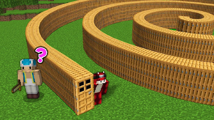 J'ai Créé la Porte la plus Longue de Minecraft !
