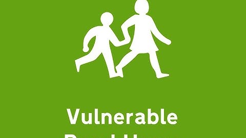 Vulnerable Road Users Paper2 Video 40